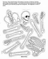 Skeleton Human Body Science Coloring System Worksheet Skeletal Worksheets Parts Bones Kids Activity Bone Cut Activities Printables Template Elementary Anatomy sketch template