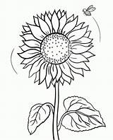 Matahari Bunga Mewarnai Colorir Girasoles Vas Bee Tangan Kartun Natureza sketch template