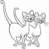 Siamese Coloring Cat Getcolorings Pages If sketch template
