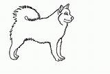 Malvorlage Katzen Ausmalen Mops Scoredatscore Katze Genial Peppa Wutz Schnauzer Einzigartig Okanaganchild Owalo sketch template