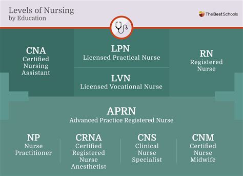 levels  nursing