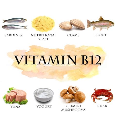 Vitamin B Complex To Boost Energy Levels Natural Fitness Tips