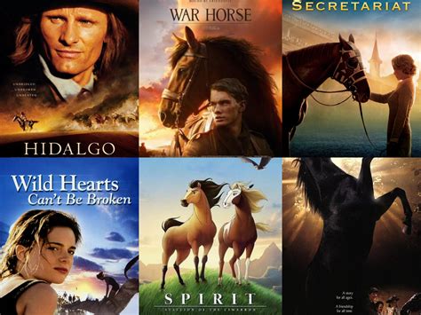 horse  scenes     put     binge horse nation