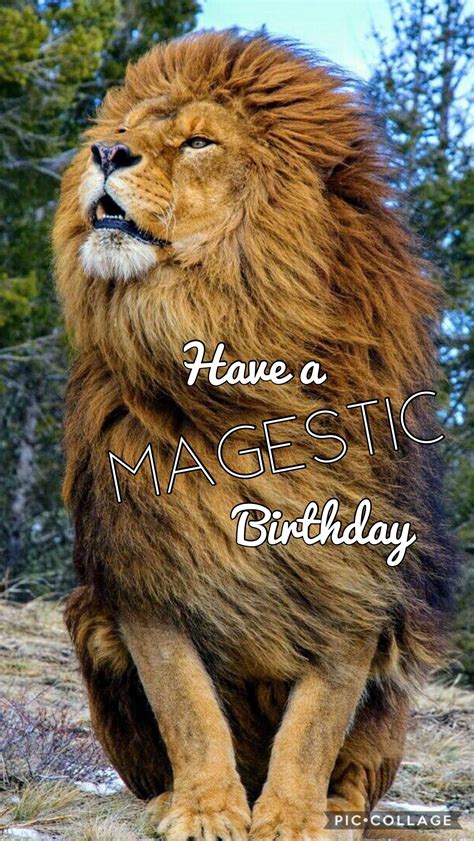majestic birthday huge lion happy birthday pictures happy