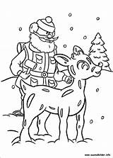 Rudolph Reindeer Nase Roten Renna Babbo Colorat Reno Renne Nosed Naso Rentier Glace Nariz Cucciolo Ausmalen Nez P01 Rudolf Planse sketch template