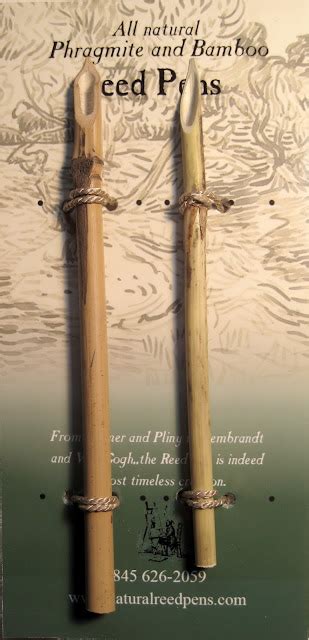 natural reed pens natural reed pens