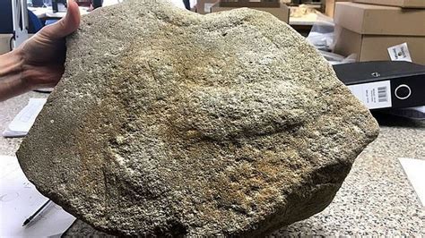 rare roman millstone with giant penis engraving to be displayed in