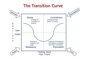 transition curve  creative digital innovation business consultancy