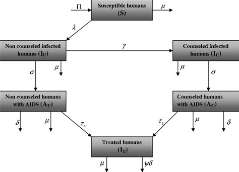 schematic diagram  model   scientific diagram