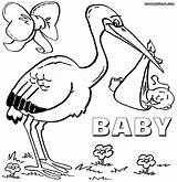 Coloring Baby Pages Stork Shower Storks Movie Chickadee Printable Printables Kids Drawing Print Birds Color Newborn Bird Cardinal Getcolorings Getdrawings sketch template