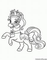 Royaux Compagnie Nénuphar Poney Coloriages sketch template