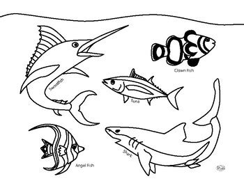 ocean fish coloring page   time  learn tpt