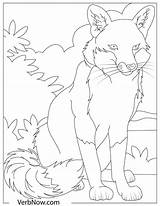 Coloring Foxes Verbnow sketch template