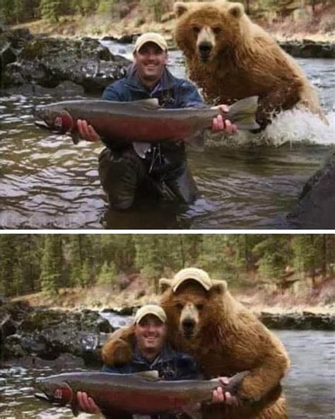 Girl Hugging Grizzly Bear Meme
