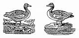 Gander Goose Goosey Clip Mother 1833 Bowen Melodies Sweetclipart sketch template