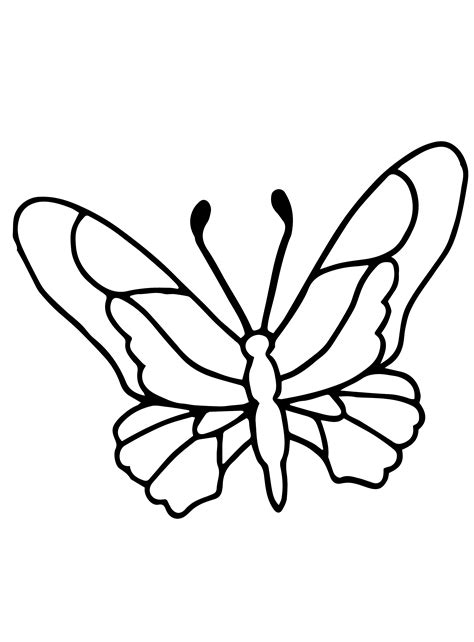 blank butterfly coloring pages coloring pages