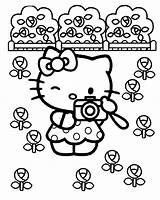 Kitty Hello Coloring Pages Girls Kids Printable Sheets Color Cute sketch template