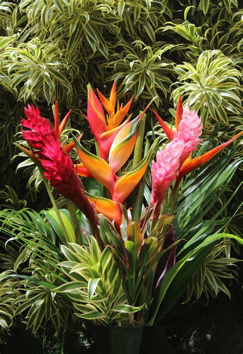 exotic bouquet tropical flowers bouquets  hawaii