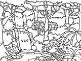Rainforest Drawing Tropical Coloring Pages Amazon Getdrawings sketch template