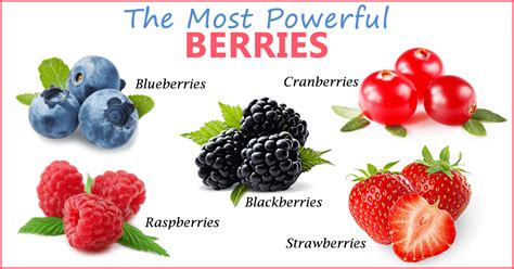 What S Your Favorite Berry Food Onehallyu