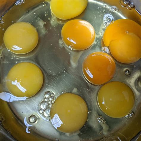 myth  egg yolk color serenity yoga farm