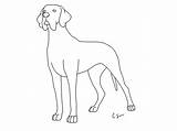 Coloring Dane Great Pages Dog Printable Kids Mastiff Line Library Clipart Popular Coloringhome sketch template