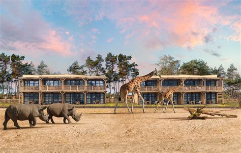 safari hotel beekse bergen  hilvarenbeek nederland zoover