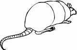 Armadillo Coloring Pages Segmented sketch template
