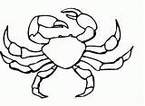 Crab Coloring Hermit Printable Popular sketch template