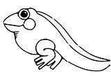 Tadpole Froglet sketch template