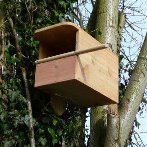 kestrel nest box british wild bird food  habitat suppliers