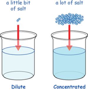 difference  dilute  concentrated solution dilute solution