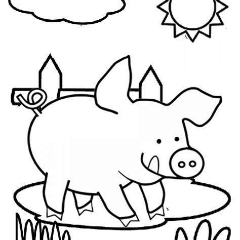 simple pig coloring pages coloring pages