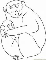 Monkey Baby Sleeping Coloring Mother Coloringpages101 Pages sketch template