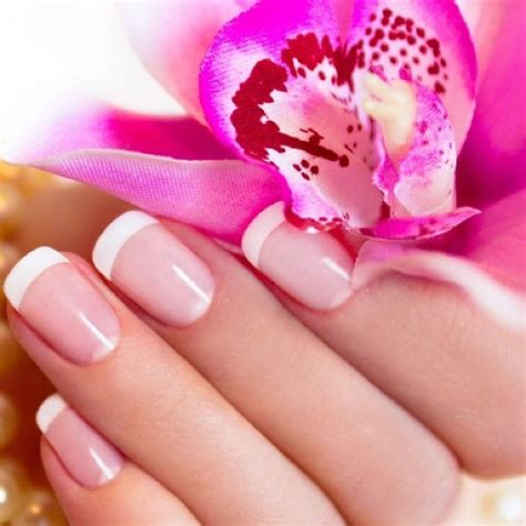 vogue nails spa  nail salon  evans ga