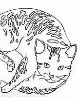 Gatos Imprimir Bengal Iluminar Pintarcolorear Dibujode Divertidos sketch template