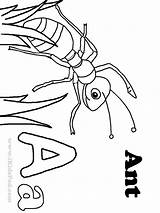 Coloring Ant Printable Pages Library Clipart Insect sketch template