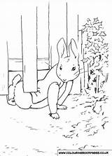 Rabbit Peter Coloring Pages Colouring Potter Beatrix Book Kids sketch template