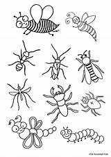 Insecten Kleurplaten Kleurplaat Beestjes Insekten Knutseljuf Ede Tekening Uitprinten Downloaden Kiezen sketch template