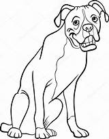 Boxer Coloring Dog Cartoon Book Illustration Vector Stock Funny Clipart Drawings Clip Drawing Line sketch template
