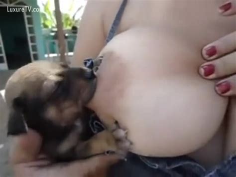 bitch is breastfeeding puppies xxx femefun