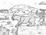 Smilodon Robin Coloring Pages Great Cliff Mammals sketch template