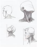 Anatomy Gesicht Drawingref Studiodrawing sketch template