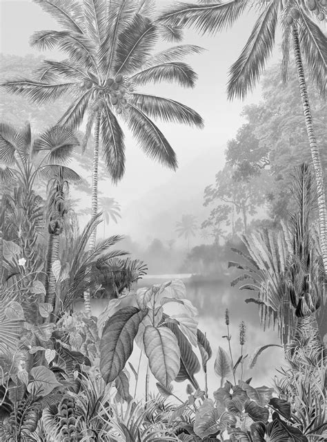 papier peint palmier panoramique lac tropical black white papier