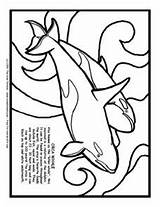 Whale Orca Killer Coloring Worksheet Outline Information Drawing 3rd Getdrawings Reviewed Curated Lessonplanet sketch template