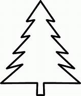 Evergreen Tree Clipart Outline Coloring Template Pages Printables Templates Library sketch template