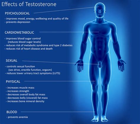 Testosterone Pellet For Men