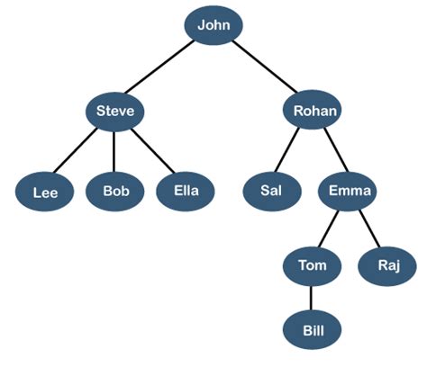 tree  data structures javatpoint