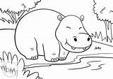 Nilpferd Hippo Ausmalen Malvorlage Vorlagen sketch template