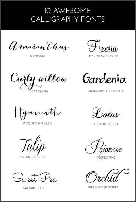 awesome calligraphy fonts pinkpot bloglovin